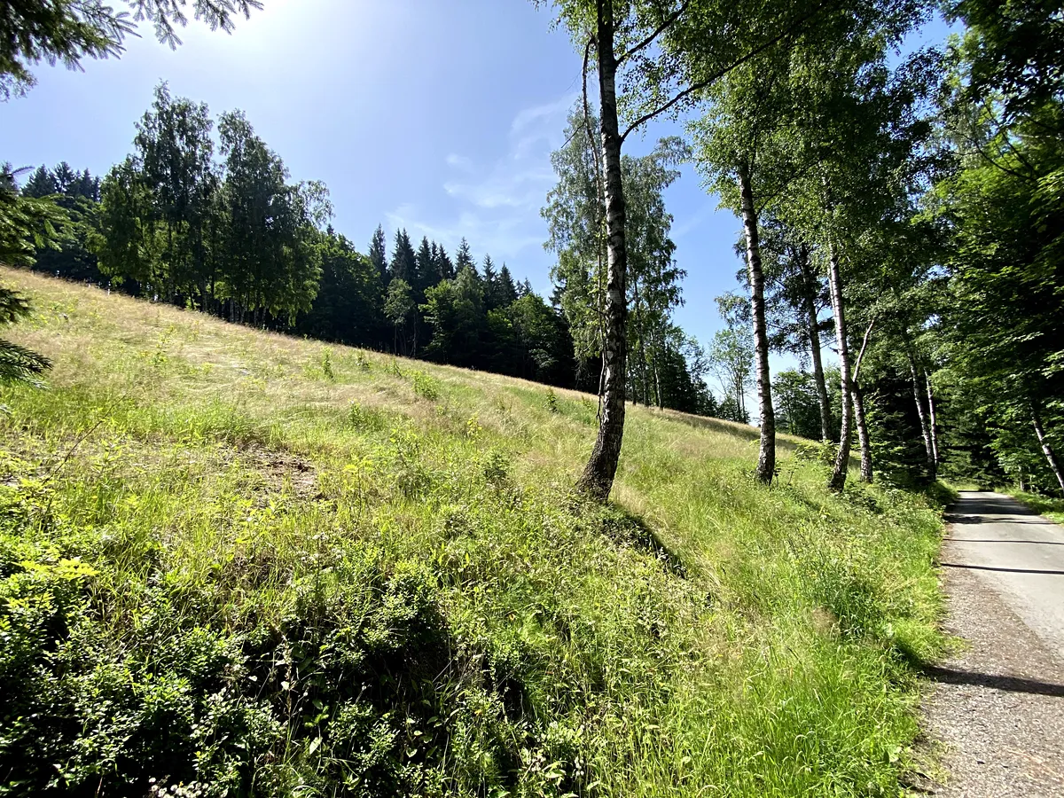 Prodej louky 15826 m²